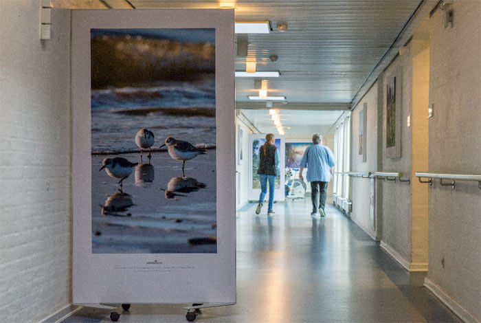 Demensvenlig indretning af gangareal på plejehjem