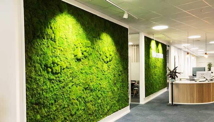 Planteservice - Indendørs planter på hospital modtagelse reception