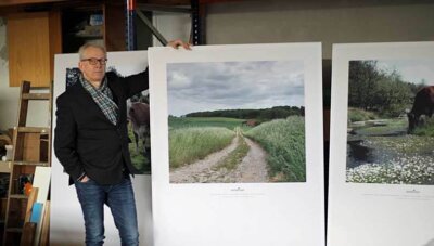Skærmvægge 120×180 cm med halvt motiv og hvid kant