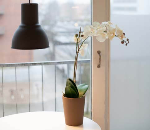 Kunstige planter på hospitalet