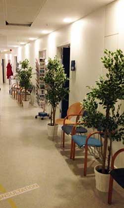 Afskærmning med planter i venteområder på hospitalet
