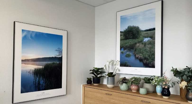 Indretning af lindrestue/palliationsstue med natur
