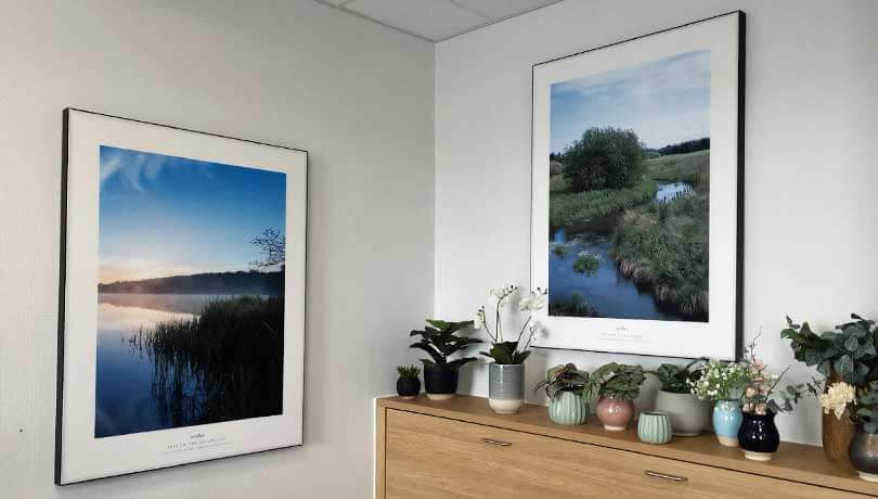 Indretning af lindrestue/palliationsstue med natur