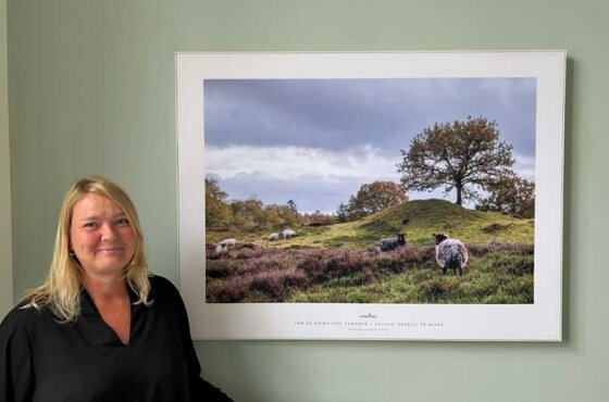 Kunststrategi på OUH Ærø
