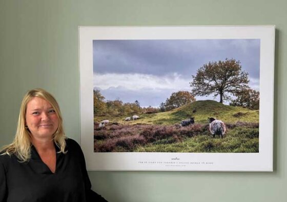 Kunststrategi på OUH Ærø