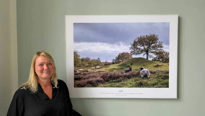 Kunststrategi på OUH Ærø