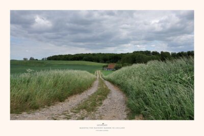 144 Markvej ved Ravnsby Bakker på Lolland