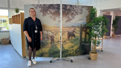 Skærmvægge 120×180 cm med fulddækkende motiv