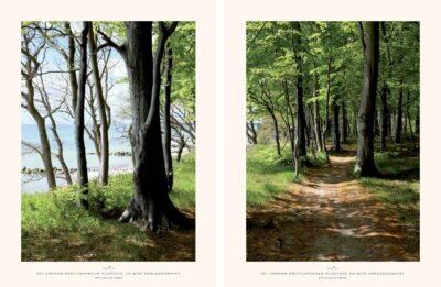 234 Sti gennem Kristiansholm Plantage ud mod Smålandshavet