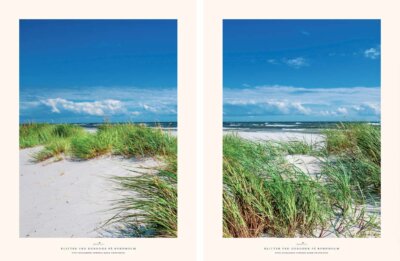 247 Klitter ved Dueodde på Bornholm