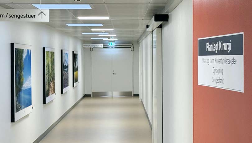 Akustikbilleder med naturmotiver hjælper med wayfinding