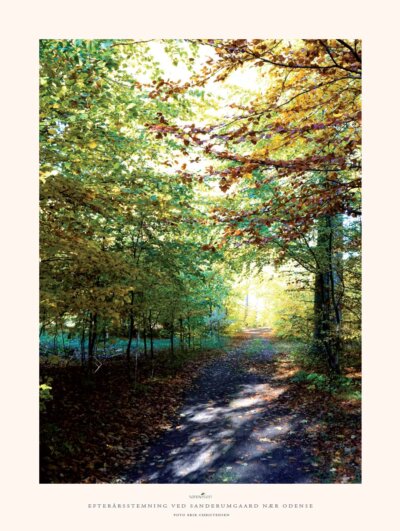 211 Herbststimmung & Blätterpracht
